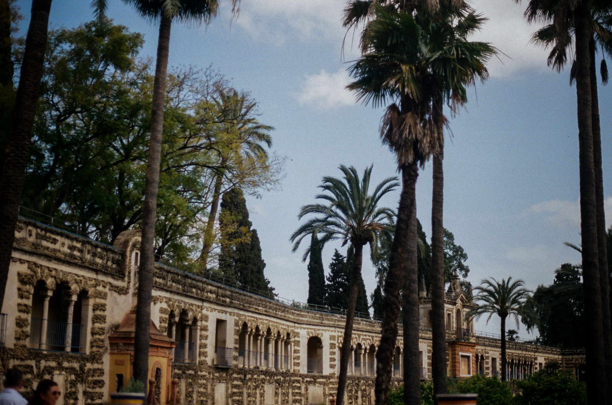 color-film - 11.jpg